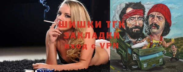 соль ск Алзамай