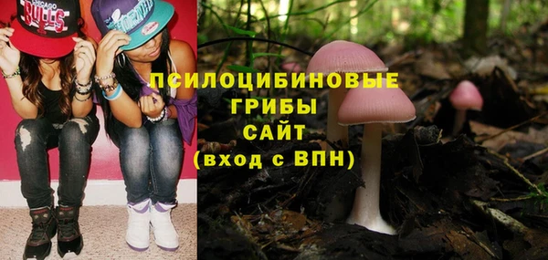 мескалин Алексин