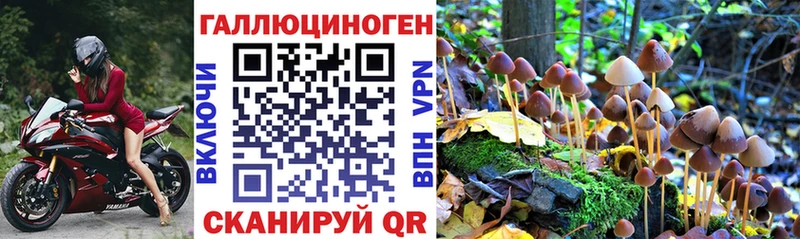 Галлюциногенные грибы Cubensis Чёрмоз